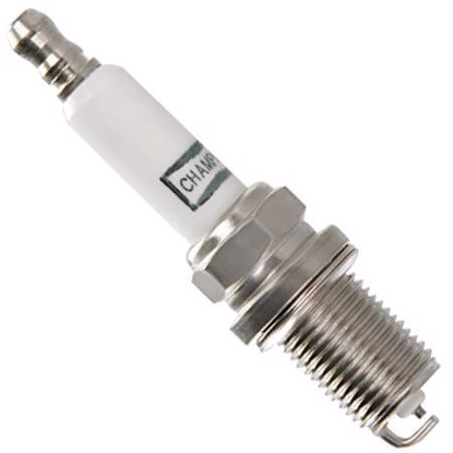 Champion 5071 image
