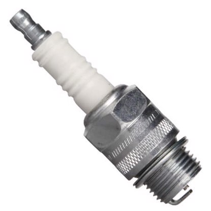 Champion D21 502 image