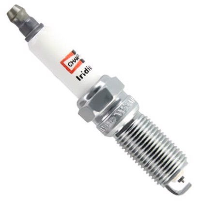Champion RE10WYPB5 9901 image