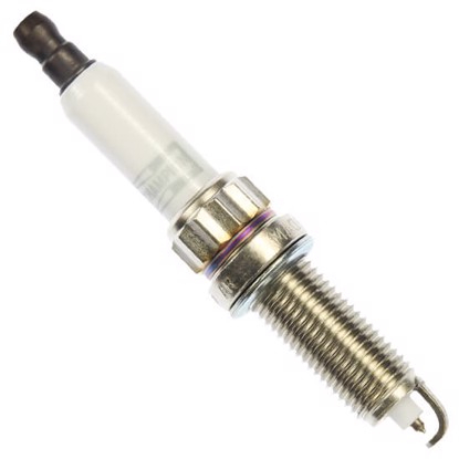 Champion RERX5PMPB 7428 image