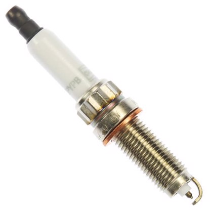 Champion RERX5ZPYPB 7429 image