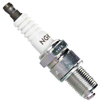 NGK B8EG SOLID image